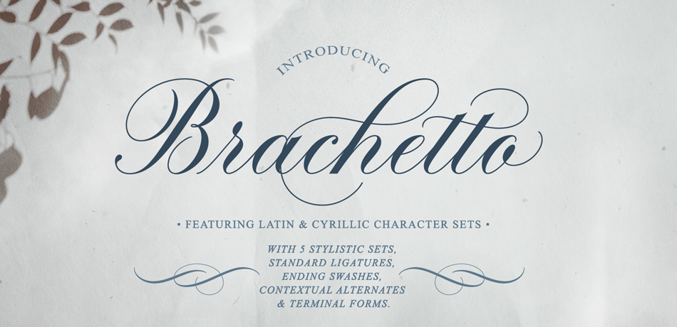 Brachetto Calligraphy Script